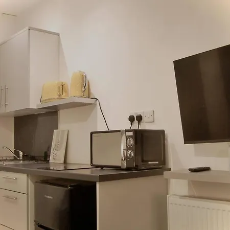 Contemporary Studio Apartment *